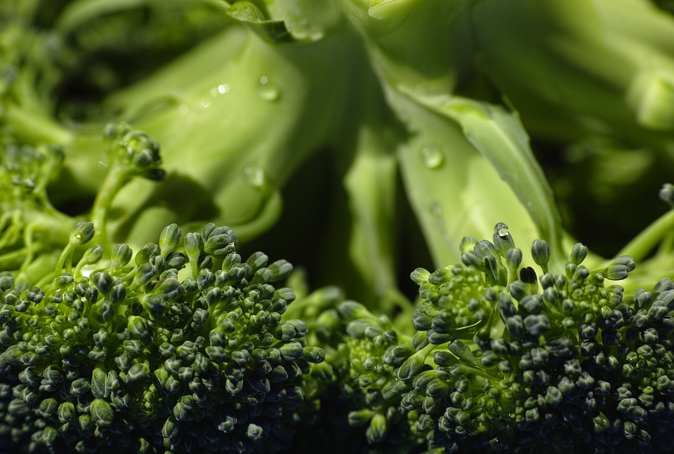 organic foods