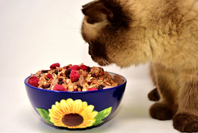 Healthy Pet